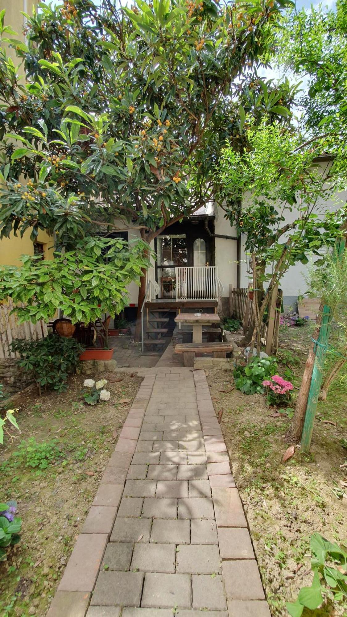Apartmaji Mila Piran Daire Dış mekan fotoğraf